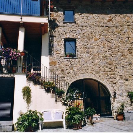 B&B Il Tulipano Polverara Luaran gambar