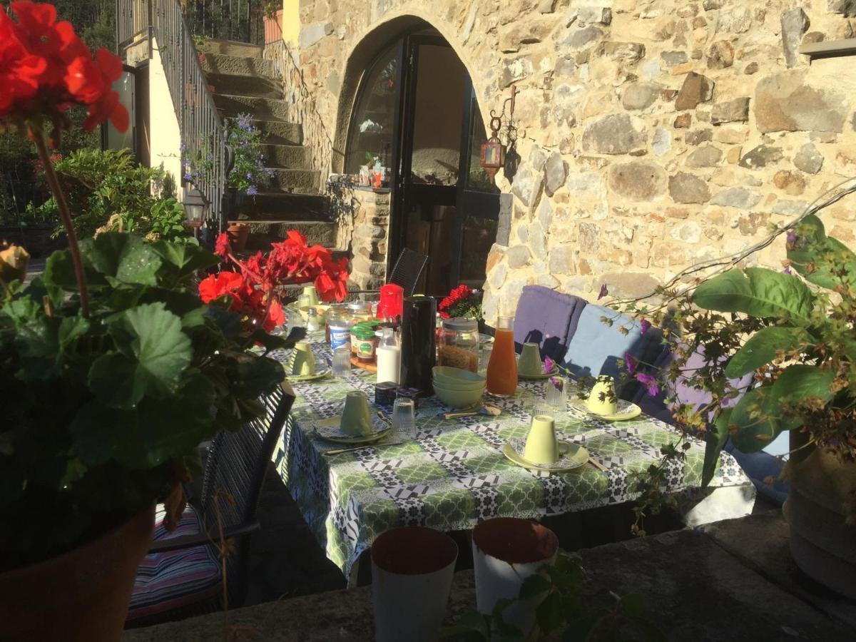 B&B Il Tulipano Polverara Luaran gambar